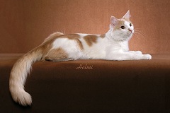 Picture_-_Helmi_Flick_creamwhite.jpg