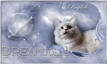 Annett Schilling Annett Schilling
