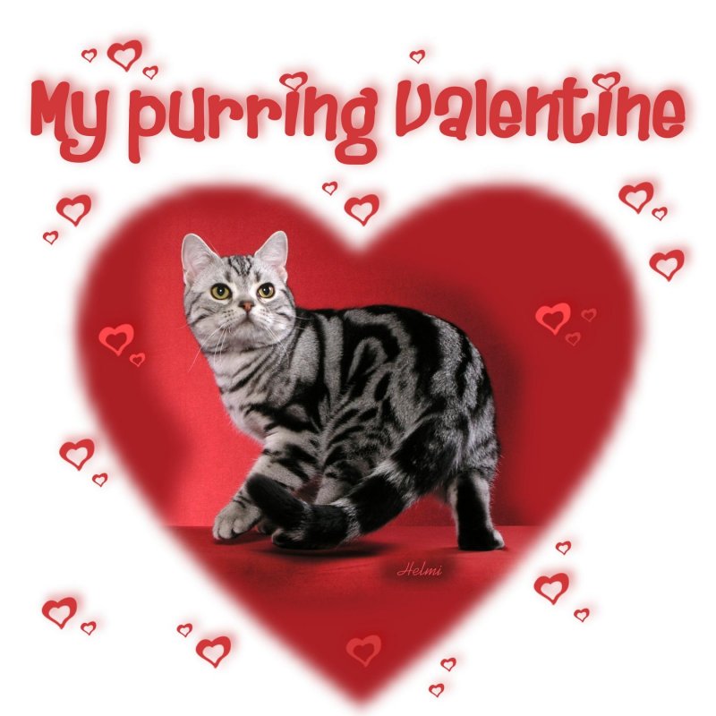 Valentine Logo Valentine Logo